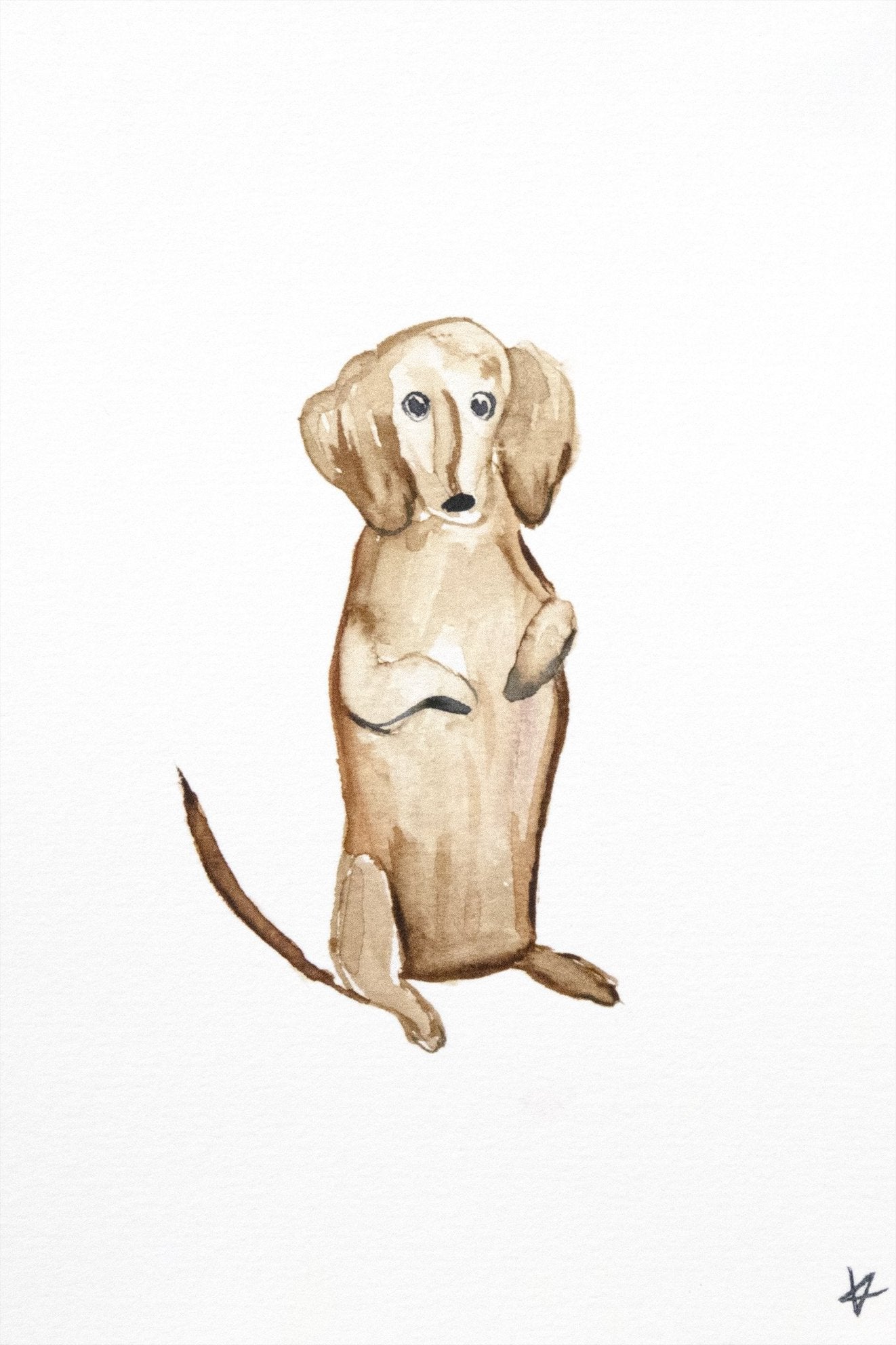 Puppy