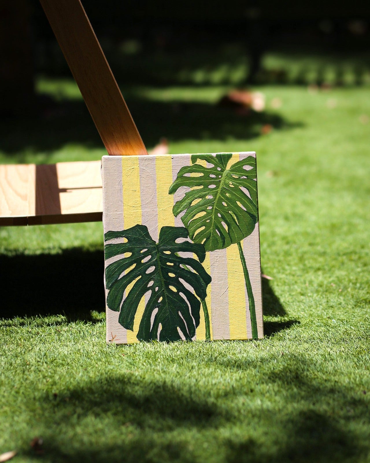 Monstera