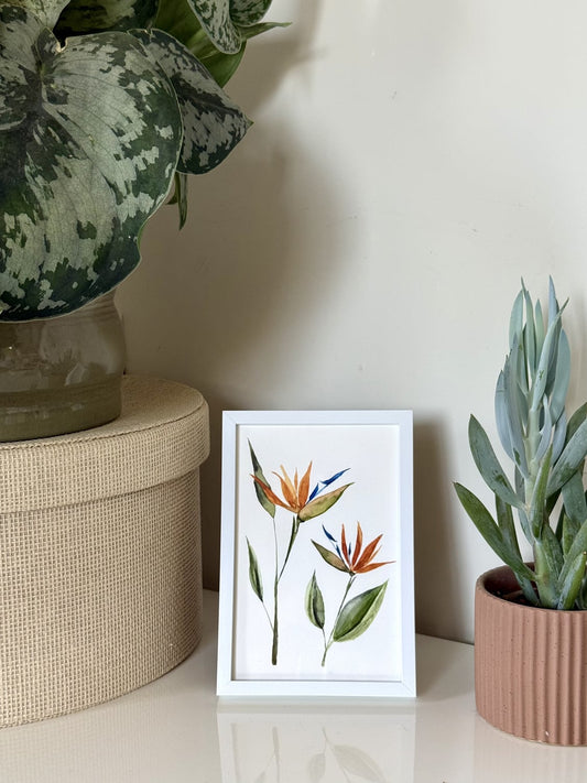 Bird of Paradise