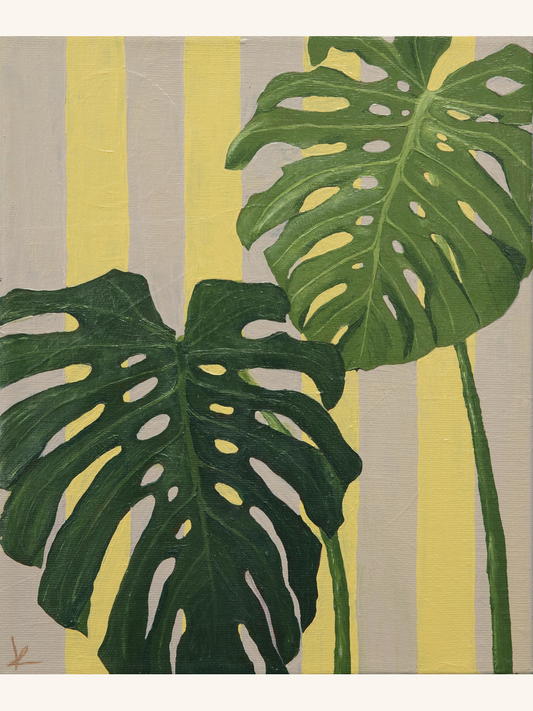 Monstera