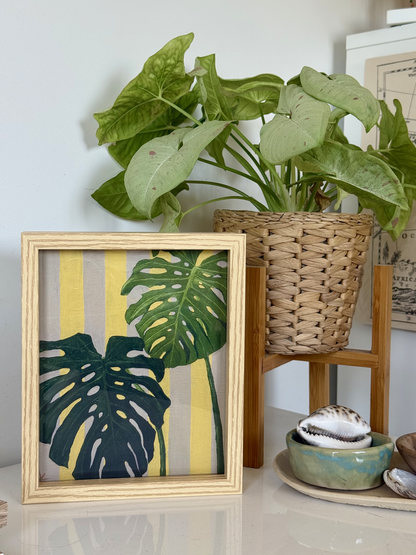 Monstera