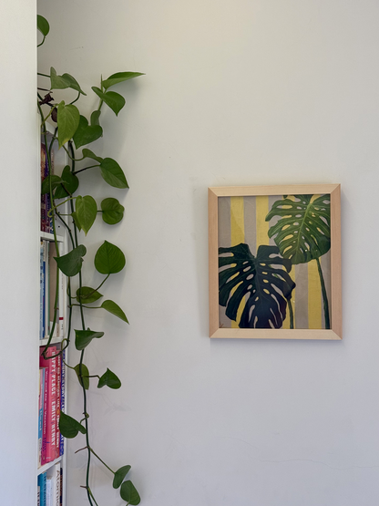 Monstera