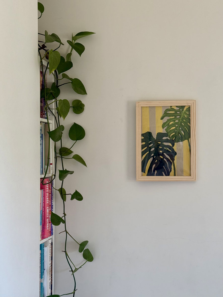 Monstera