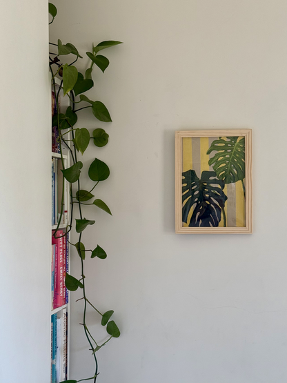 Monstera