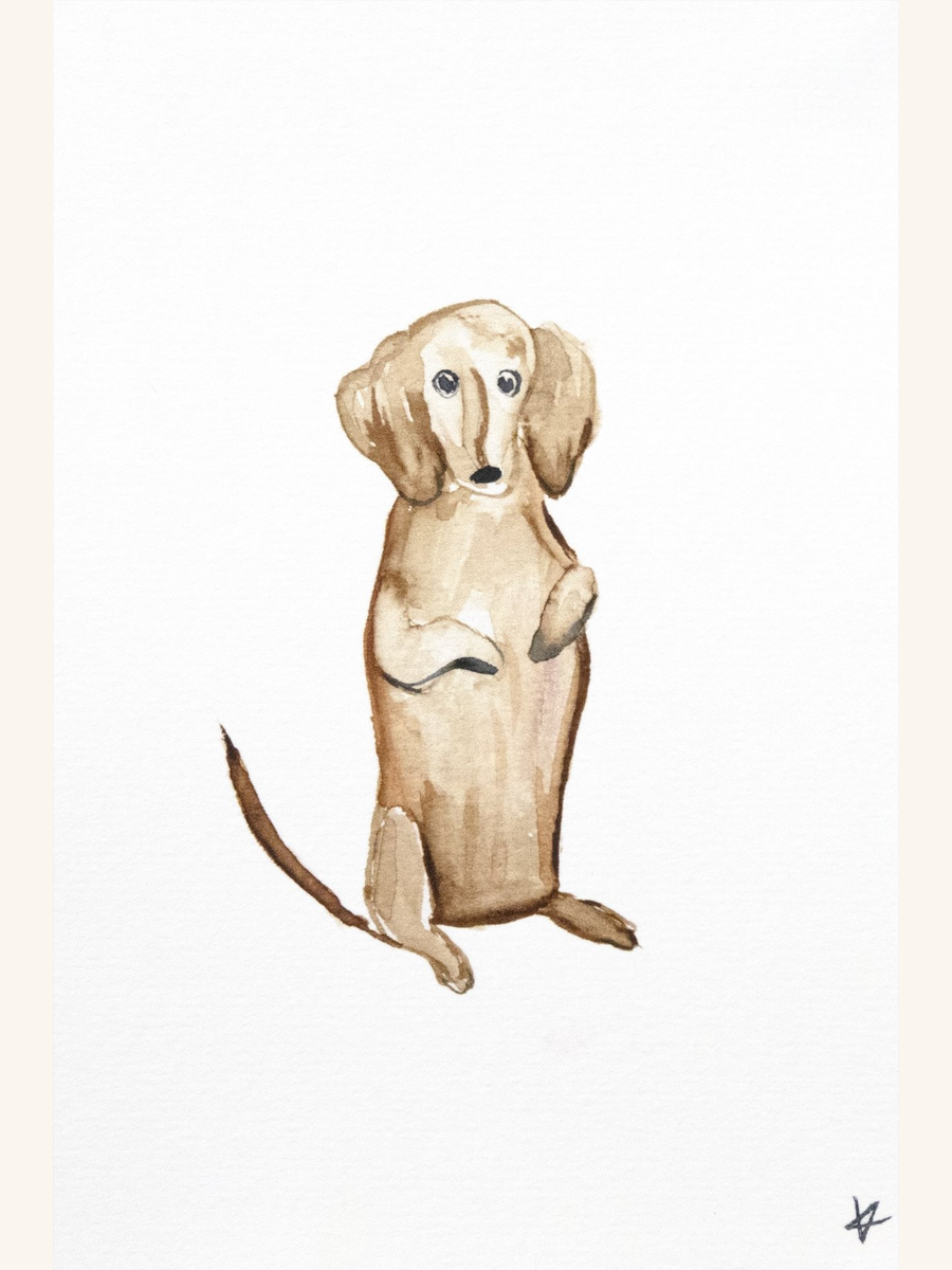 Puppy