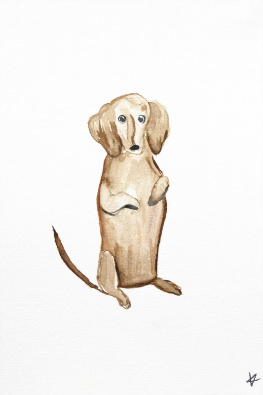 Puppy