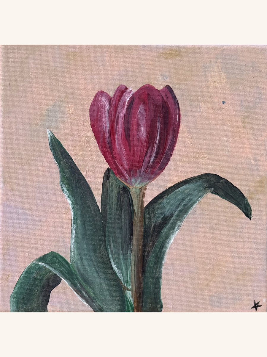 Red Tulip