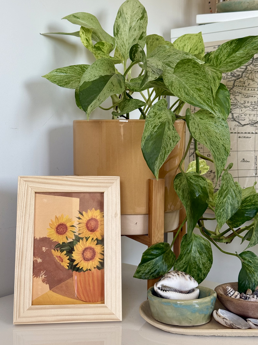 Sunflowers at Home