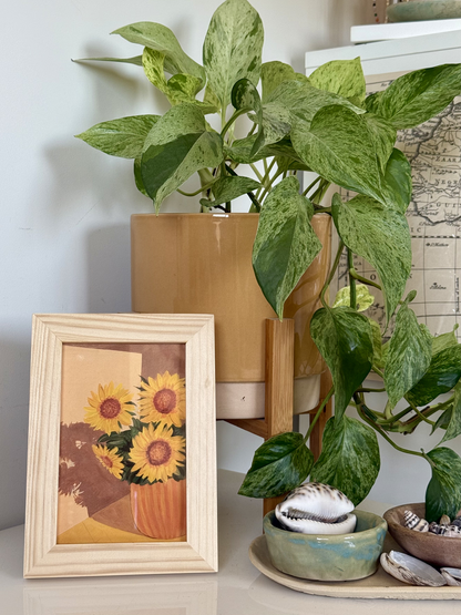 Sunflowers at Home